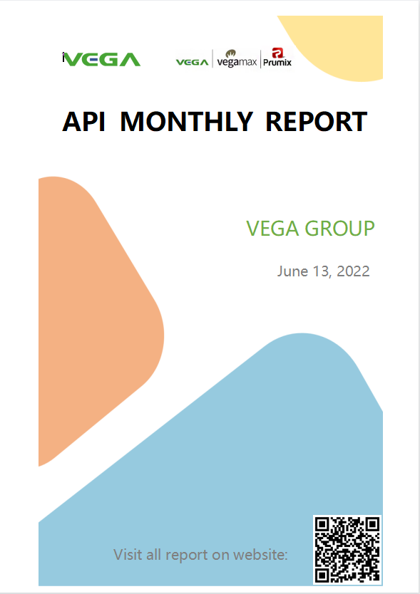 API Monthly Report.png